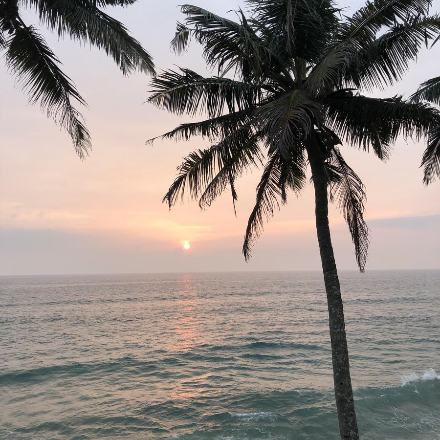 The Villa Varkala Bagian luar foto