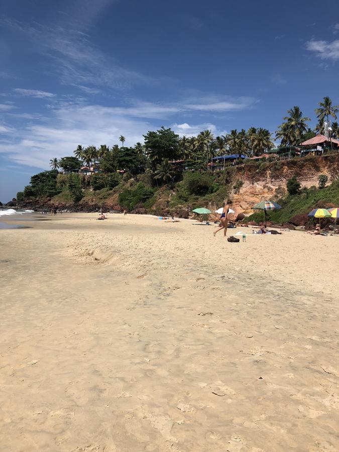The Villa Varkala Bagian luar foto