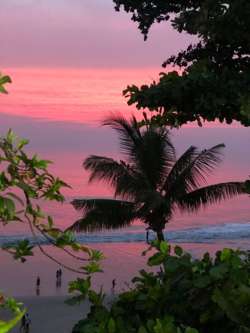 The Villa Varkala Bagian luar foto